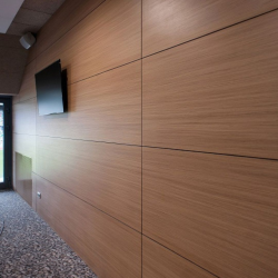 Стінові панелі МДФ